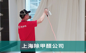 上海除甲醛公司