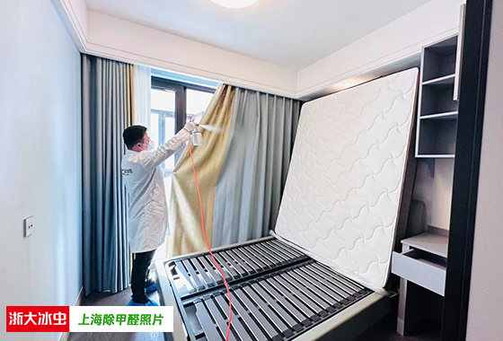 上海如何有效去除室内甲醛？